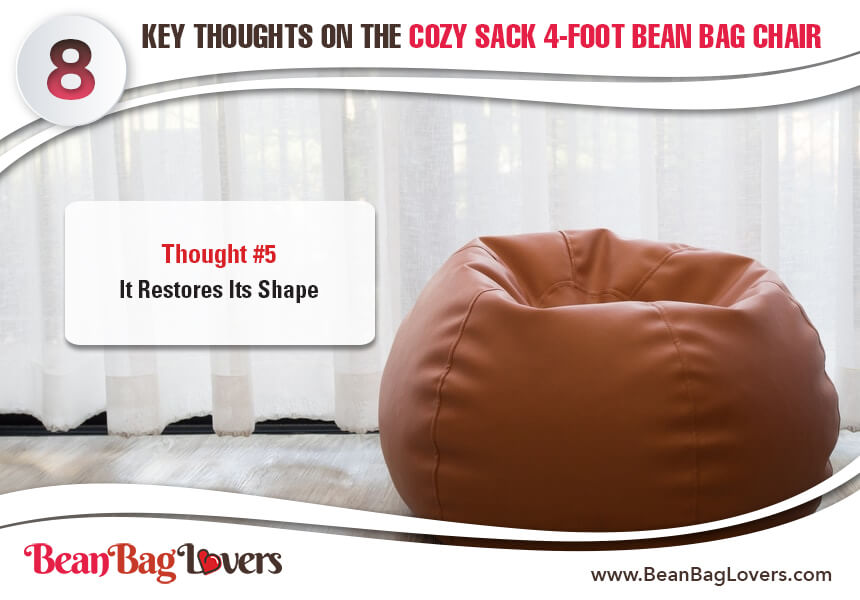  cozy sack bean bag